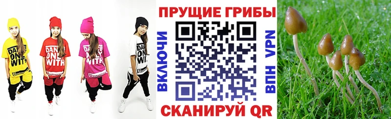 продажа наркотиков  Горячий Ключ  Псилоцибиновые грибы мухоморы 